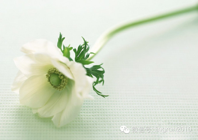 相遇相知 相遇相知