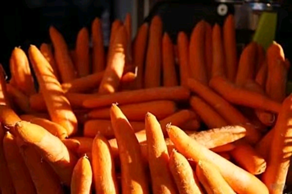 营养价值丰富 营养价值丰富